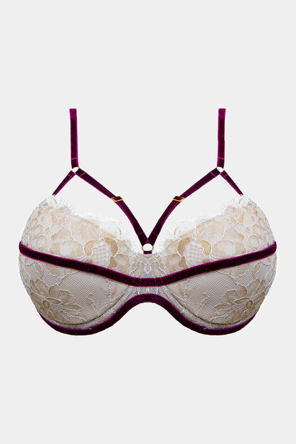 Push-up-BH - JACQUELINE - MILCH/BORDO