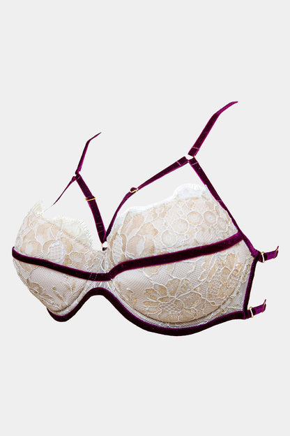 Push-up-BH - JACQUELINE - MILCH/BORDO
