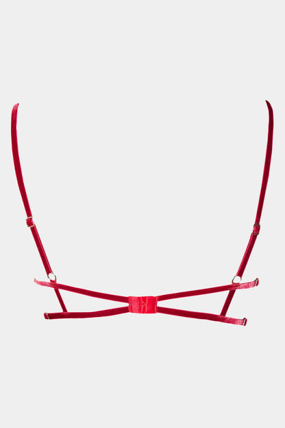 Push-up-BH - JACQUELINE - ROT