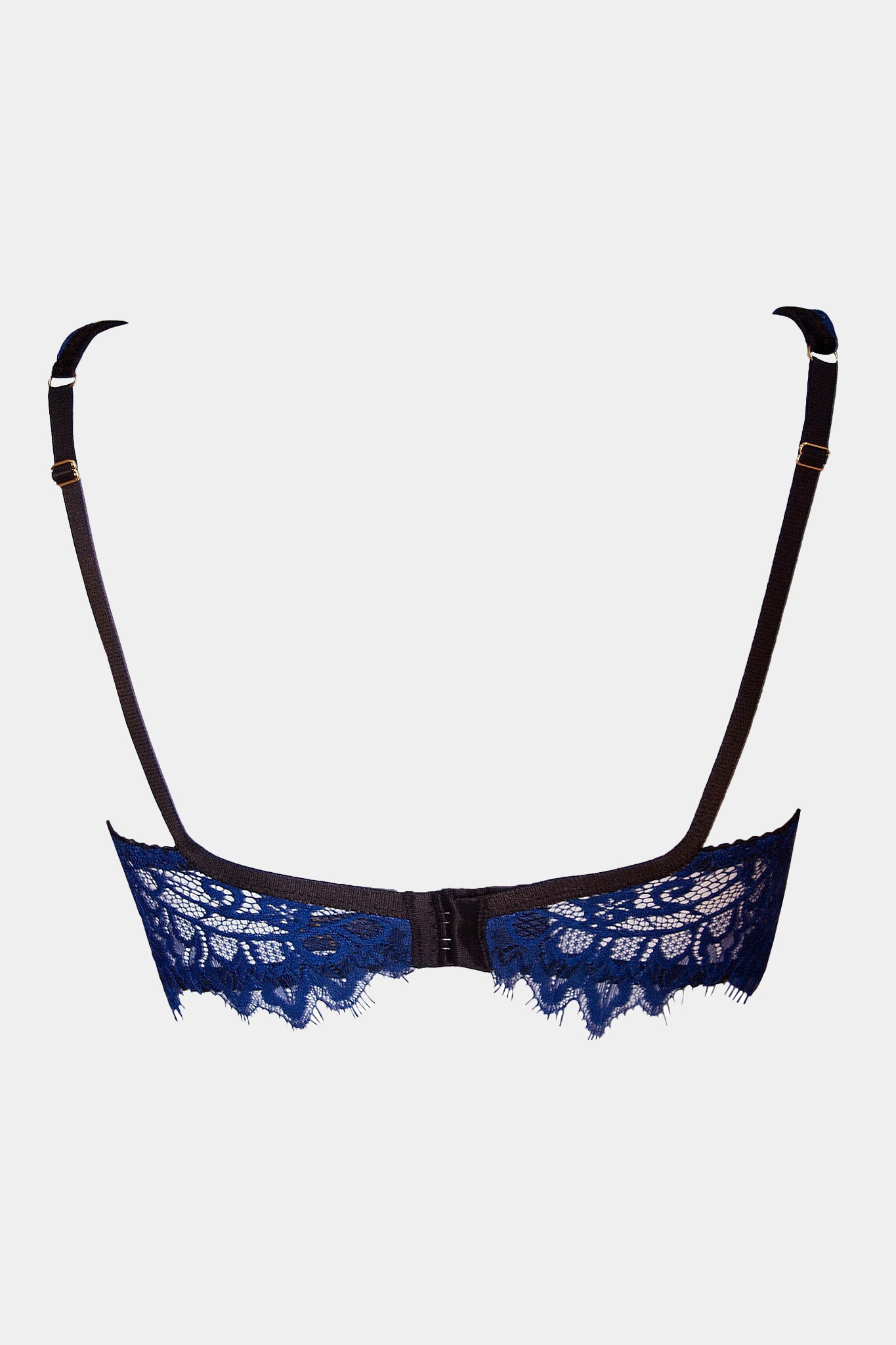 PADDED BRA - LABELIA - BLUE