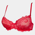 SANTA - RED - BRA PUSH-UP